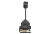 Skjermkabel - HP DVI-kabel - DisplayPort 19cm - FH973AT