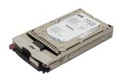 Harddisk - HP 10K - 146GB - Harddisk - 366024-002 - Fibre Channel - 3.5" - 366024-002