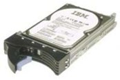 Harddisk - IBM - 1TB - Harddisk - 81Y9690 - Serial Attached SCSI - 2.5" - 81Y9690