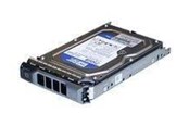 Harddisk - Dell - 1TB - Harddisk - DELL-1000SATA/7-S11 - SATA-150 - DELL-1000SATA/7-S11