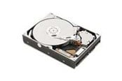 Harddisk - IBM - 1TB - Harddisk - 81Y9691 - SAS2 - 2.5" - 81Y9691