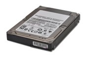 Harddisk - IBM Lenovo - 1TB - Harddisk - 43W7629 - SATA-300 - 3.5" - 43W7629