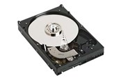 Harddisk - Dell Nearline - 500GB - Harddisk - TTYVH - SAS2 - 2.5" - TTYVH