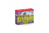 Schleich - Schleich HORSE CLUB Sarahs dyrebabypleie - 42432