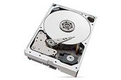 Harddisk - Seagate IronWolf ST10000VN0008 - 10TB - Harddisk - ST10000VN0008 - SATA-600 - 3.5" - ST10000VN0008