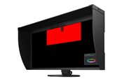 Skjerm - 31" EIZO ColorEdge CG319X - CG319X-BK