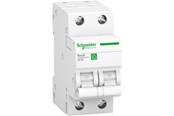 Komponenter for switchboxes og skap - Schneider Electric Resi9 mcb 2p c 16a 6000a miniature circu - R9F24216