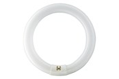 LED-lyspære - Philips Lysrør Master TL-E Circular 22W/840 G10q - 928026284070