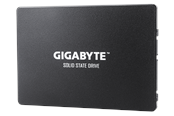 SSD - GIGABYTE SSD - 256GB - SATA-600 - 2.5" - GP-GSTFS31256GTND