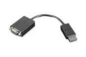 FireWire-/ThunderBolt-kabel - Lenovo DisplayPort cable - 20 cm - 45J9524