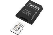 Minnekort - SanDisk High Endurance microSD/SD - 100MB/s - 256GB - SDSQQNR-256G-GN6IA