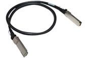 Nettverkskabel - E Passive Copper Cable - 830024-B22