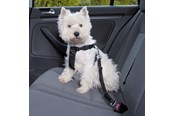 Hund - Trixie Car harness S: 30–60 cm/20 mm black - TX-1290