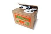 Gadget - Mikamax Kitty bank - 02462