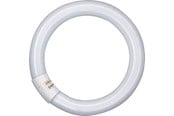 LED-lyspære - Osram Lysrør Lumilux Circular 22W/840 G10q - 4008321581082