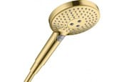 Dusj- og monteringstilbehør - Hansgrohe raindance select s hand shower 120 3jet polished gold-optic - 26530990