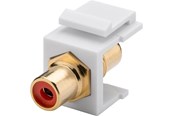 Nettverkskabel - Keystone Cinch/RCA module - 4040849796692