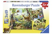 Puslespill - Ravensburger Forest/Zoo/Dom.Animals - 3x49p - 10109265