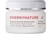 Ansiktspleie - Annemarie Börlind Regenerative Night Cream Energynature - 4011061008856