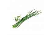 Smarthus - Veritable Lingot Organic Chives - VLIN-A10-Cib004