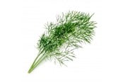 Smarthus - Veritable Lingot Organic Dill - VLIN-A10-Ane006