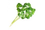 Smarthus - Veritable Lingot Organic Curly Parsley - VLIN-A10-Per028