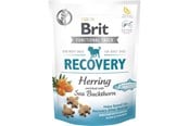 Hund - Brit Care Dog Functional Snack Recovery Herring 150g - BH1090015