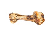 Hund - Eldorado Jurassic bone - HE8128