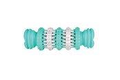 Hund - Trixie Denta Fun bone mint flavour rubber 11 cm - TX32943