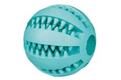 Hund - Trixie Dog Toy Denta Fun Ball Rubber Mint Flavour 5cm - TX3259