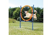 Hund - Trixie Fun Agility ring plastic 115 × ø 3 cm ø 65 cm blue/orange - TX3208