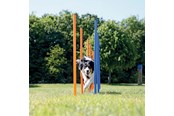 Hund - Trixie Fun Agility slalom plastic ø 3 × 115 cm 12 pcs. blue/orange - TX3206