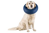 Hund - Trixie Protective Collar Inflatable M 40-45cm - TX19546