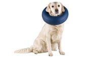 Hund - Trixie Protective Collar Inflatable M–L 45-57cm - TX19543