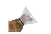 Hund - Trixie Protective collar plastic L–XL: 47–57 cm/30 cm - TX19486