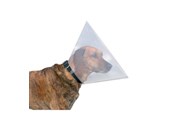 Hund - Trixie Protective collar plastic S–M: 31–38 cm/15 cm - TX19483