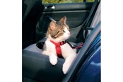 Katt - Trixie Car cat harness 20–50 cm/15 mm red - TX1294