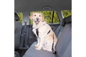 Hund - Trixie Car Harness Safety Belt L 70-90cm/25 mm Stomach Circum 70-90cm - TX1292