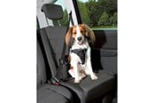 Hund - Trixie Comfort car harness M: 50–65 cm/20 mm black - TX12856