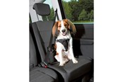 Hund - Trixie Comfort car harness S–M: 40–55 cm/17 mm black - TX12855