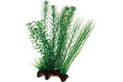 Fisk - Dohse Flora Root 2 L 30 cm - P51596