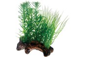 Fisk - Dohse Flora Root 2 S 17 cm - P51595