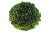 Fisk - Dohse Plant Ball 9 cm - P41540