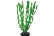 Fisk - Dohse Vallisneria 20 cm - P41507