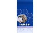 Katt - Iams Adult Multicat - Chicken & Salmon 15kg - I311500