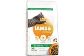 Katt - Iams CAT Vitality Adult cats - Lamb 10kg - I031000