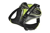 Hund - Julius-K9 IDC Longwalk - neon-grey M - H678777