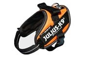 Hund - Julius-K9 IDC harness size: Mini-Mini UV Orange - H659806