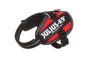 Hund - Julius-K9 IDC-harness Baby 2 red 33-45 cm - H616121