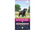 Hund - Eukanuba Caring Senior Large Breed Chicken 15 kg - EH641500